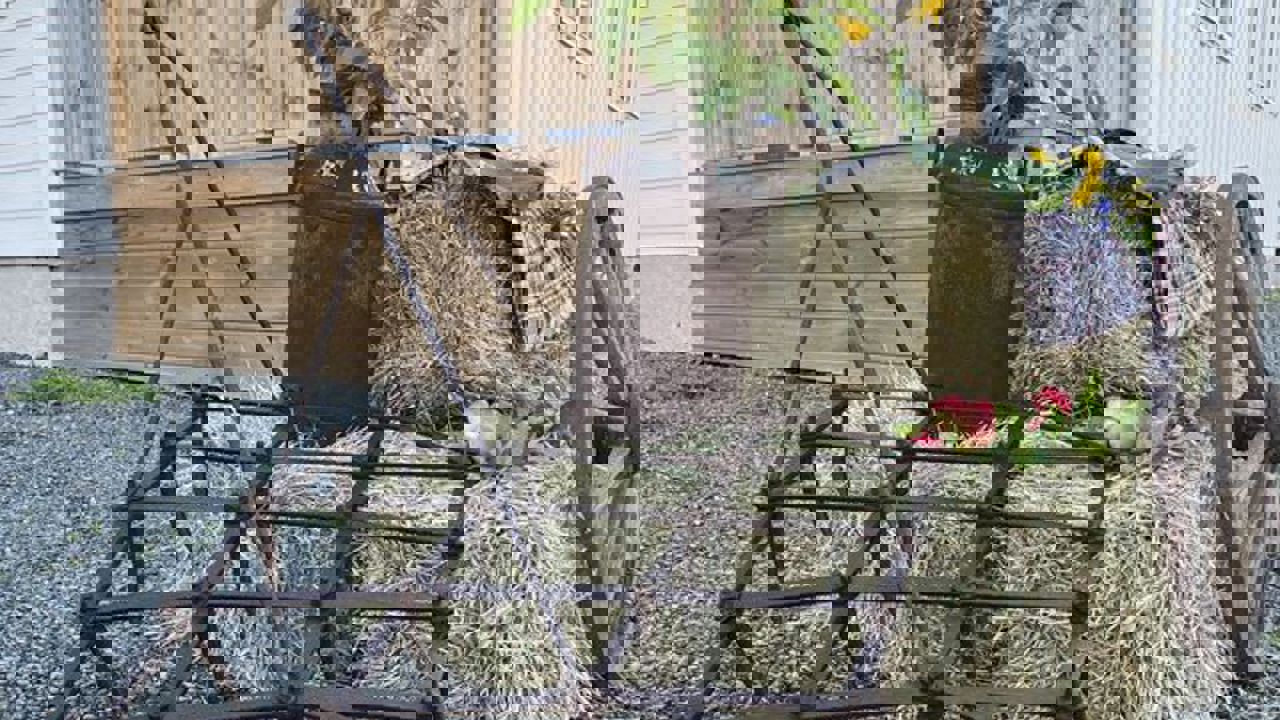 448179854 977665181030761 5354408615055658803 N
