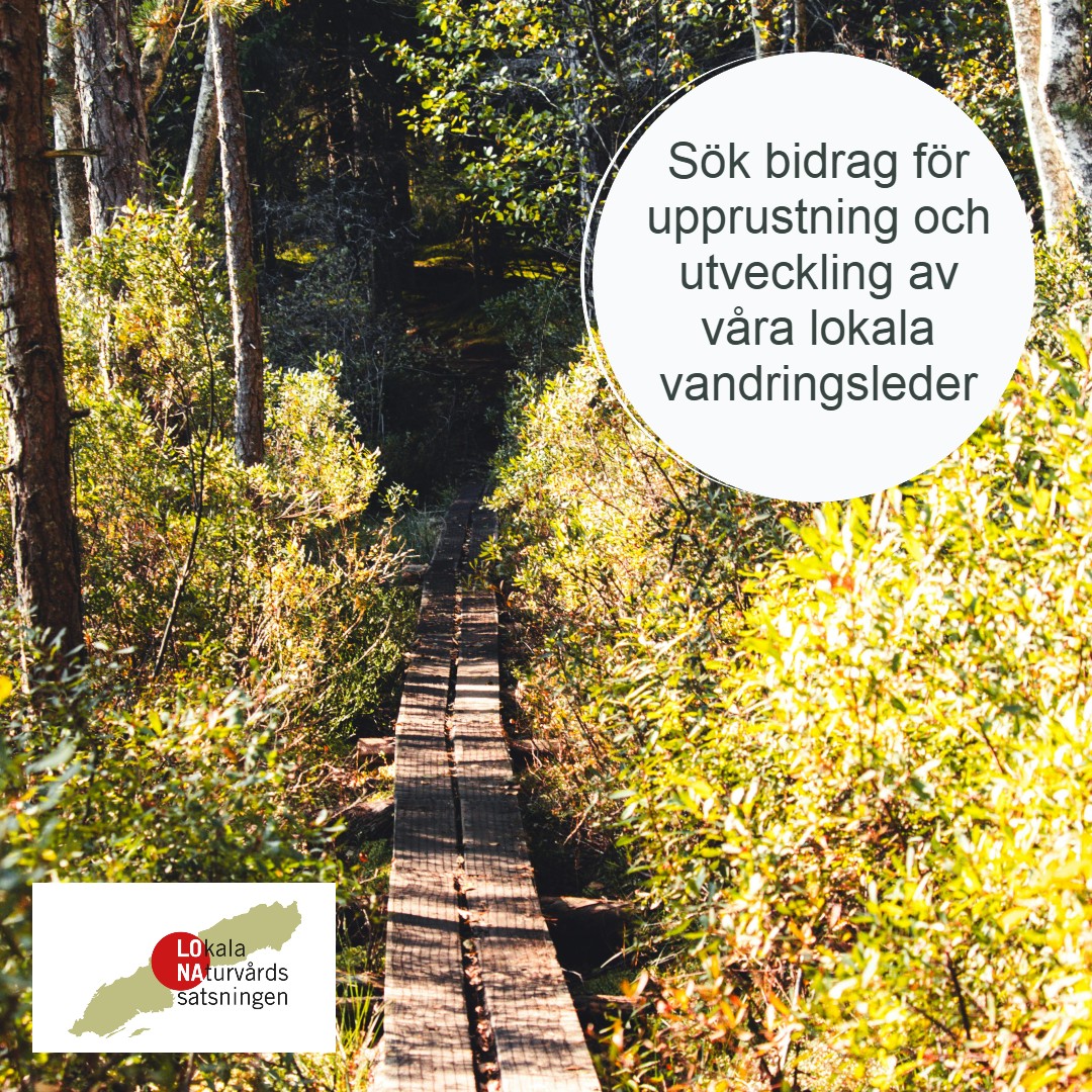 LONA Vandring