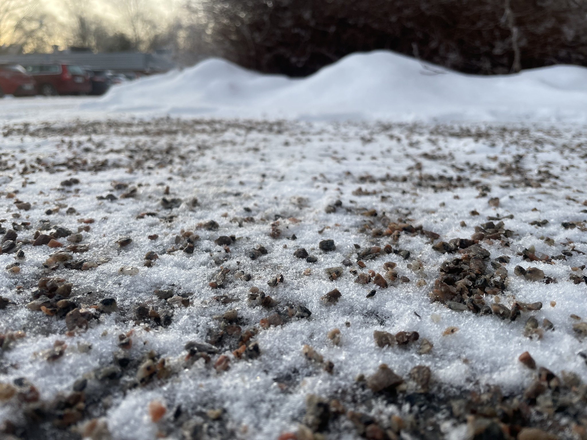 486538424 1207303164733627 3802877134585294683 N