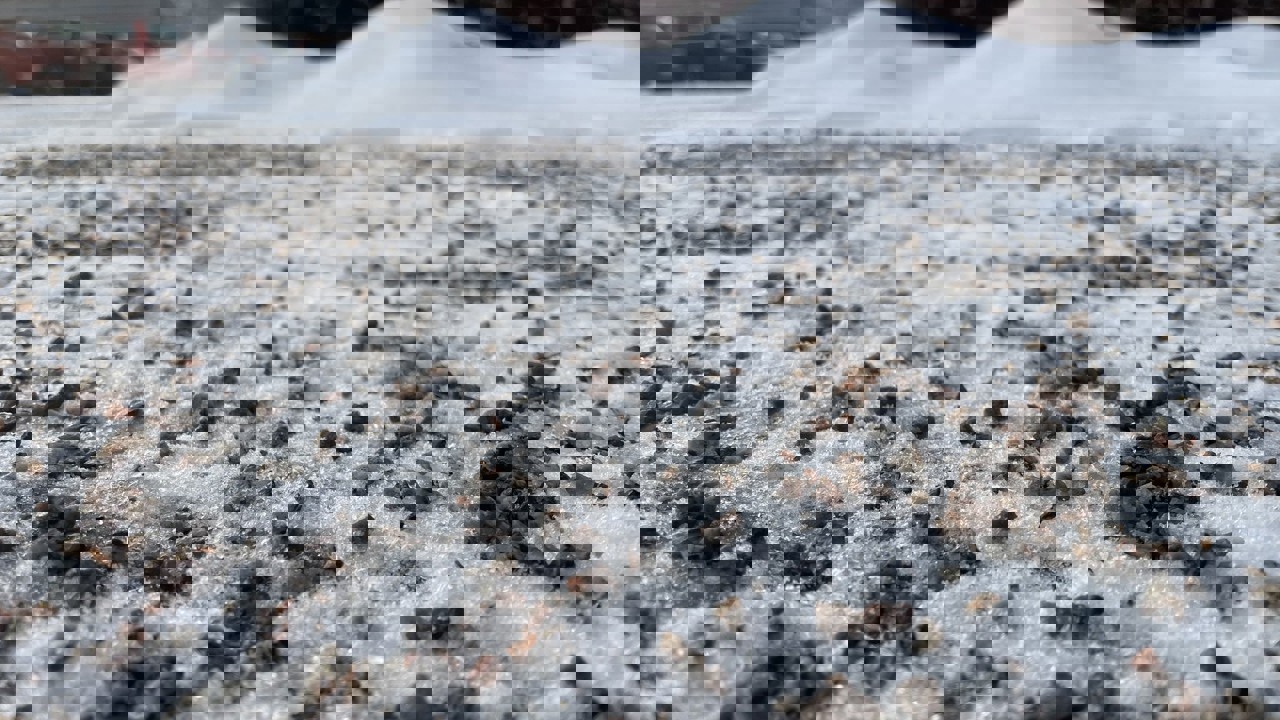 486538424 1207303164733627 3802877134585294683 N