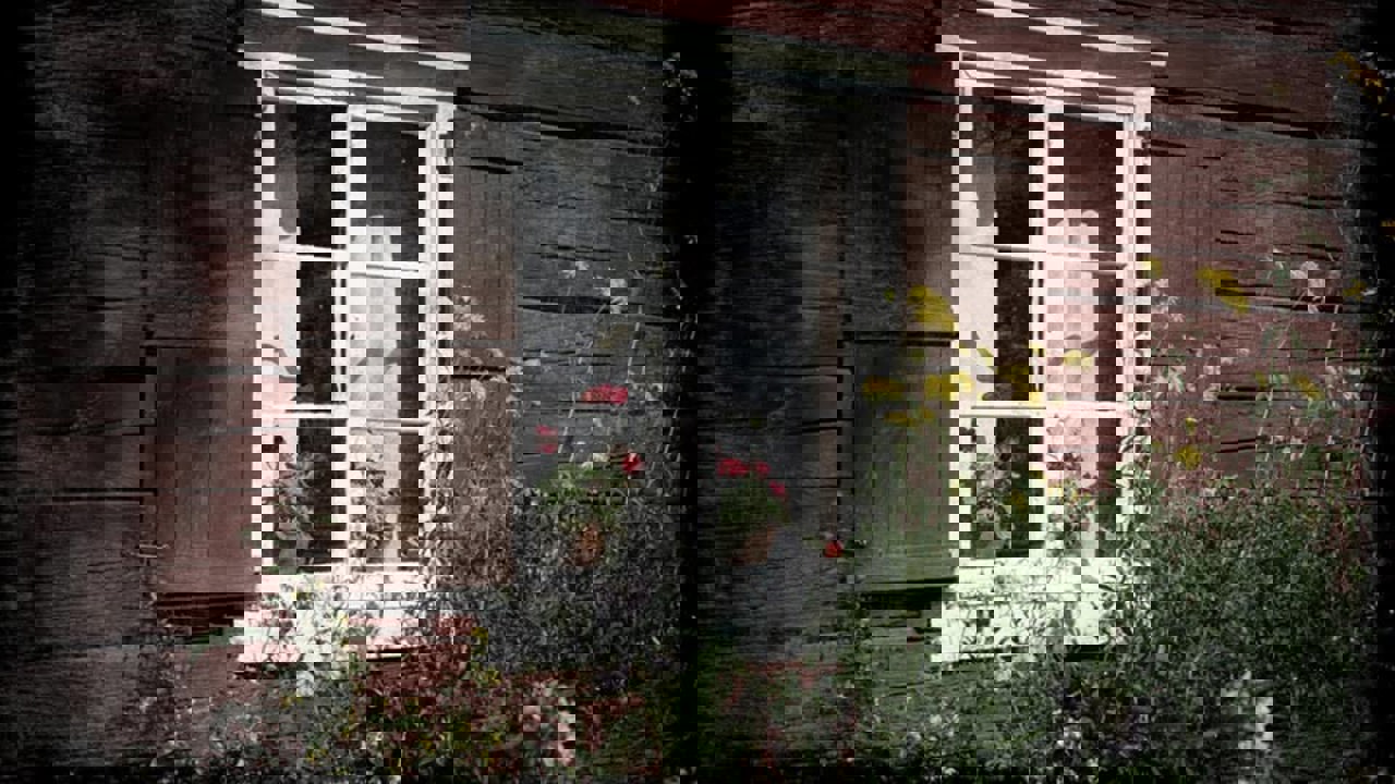493314455 1235582681905675 3907574446385564679 N