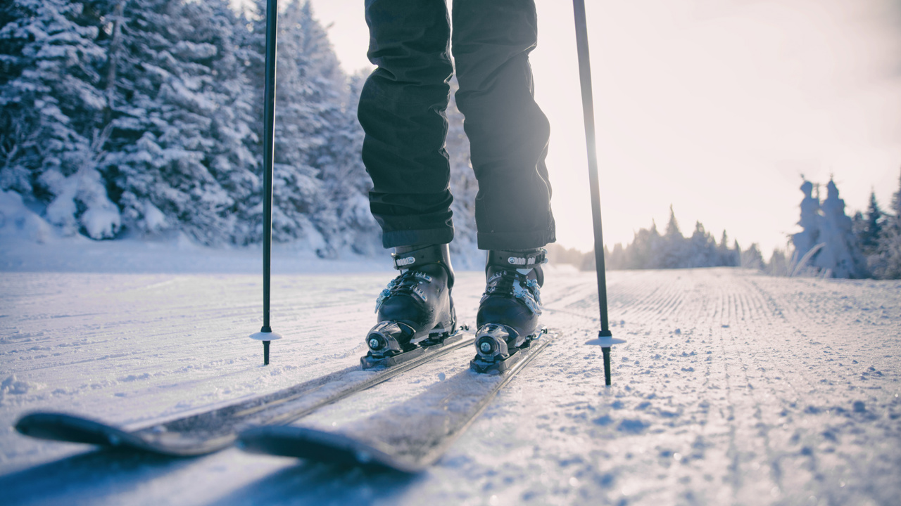 Mp51022877 Skier Skiing On First Tracks Down Slope Early Morning On